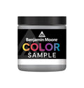 8 oz. Color Sample